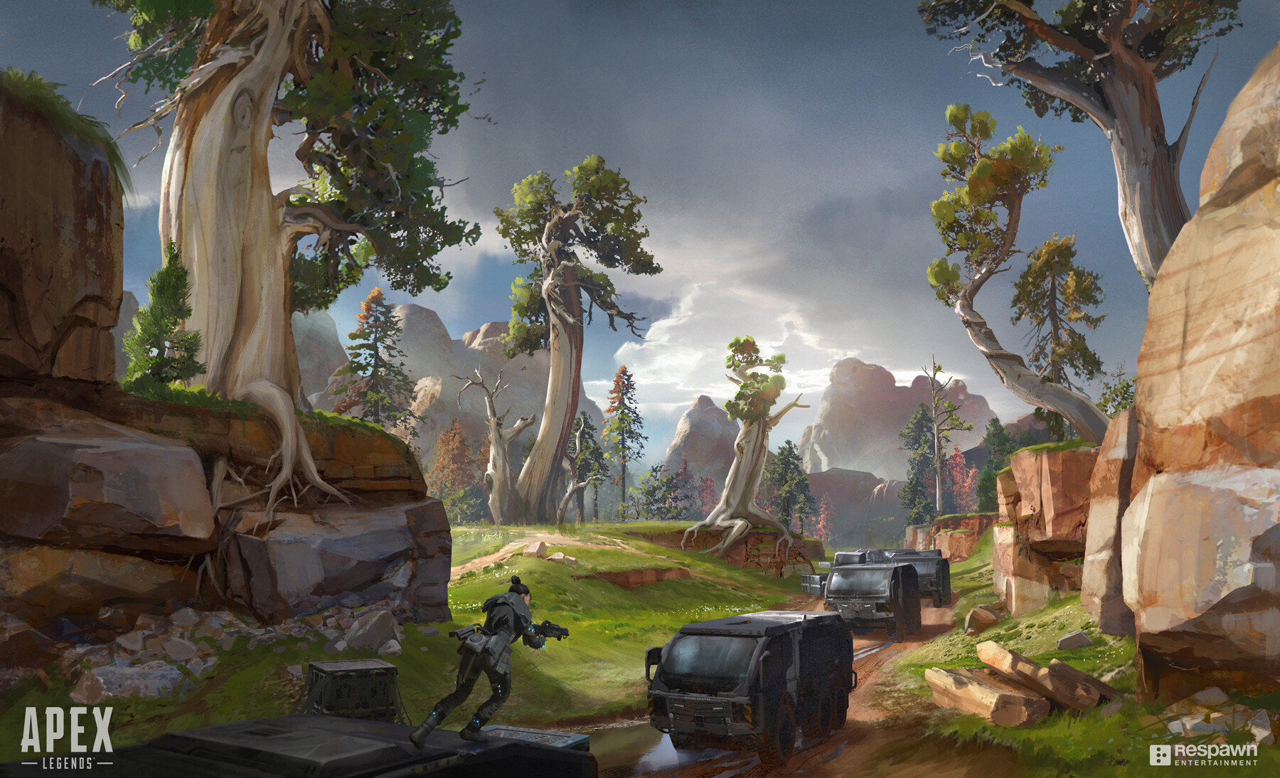 因为更多的 因为更多的